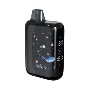 Long-Lasting 30000 Puffs Disposable Vape